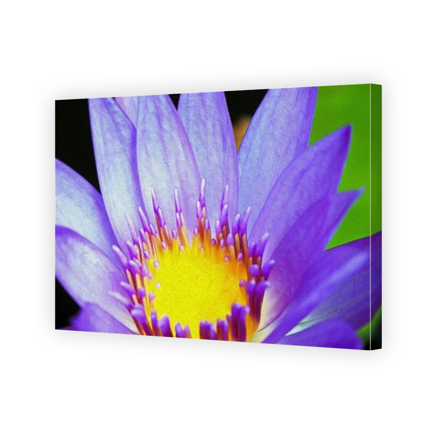 Thumbnail for Canvas - Gallery Canvas Wrap