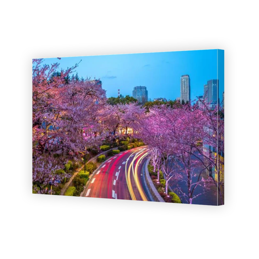 Thumbnail for Canvas - Gallery Canvas Wrap