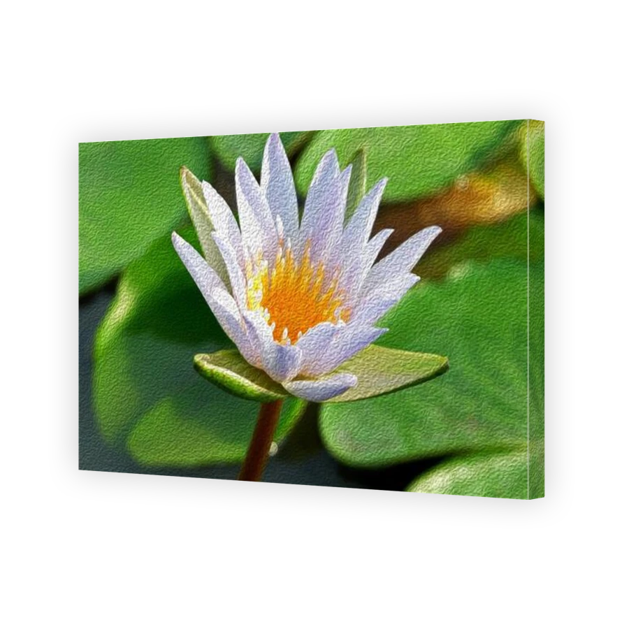 Thumbnail for Canvas - Gallery Canvas Wrap