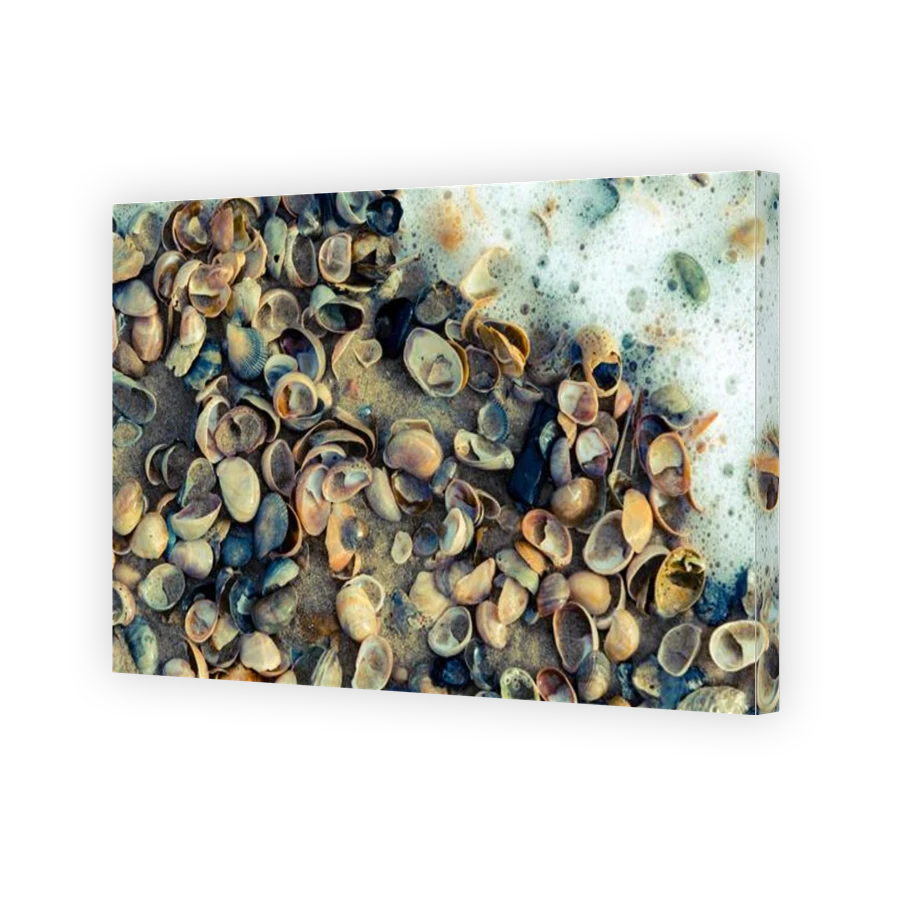 Thumbnail for Canvas - Gallery Canvas Wrap