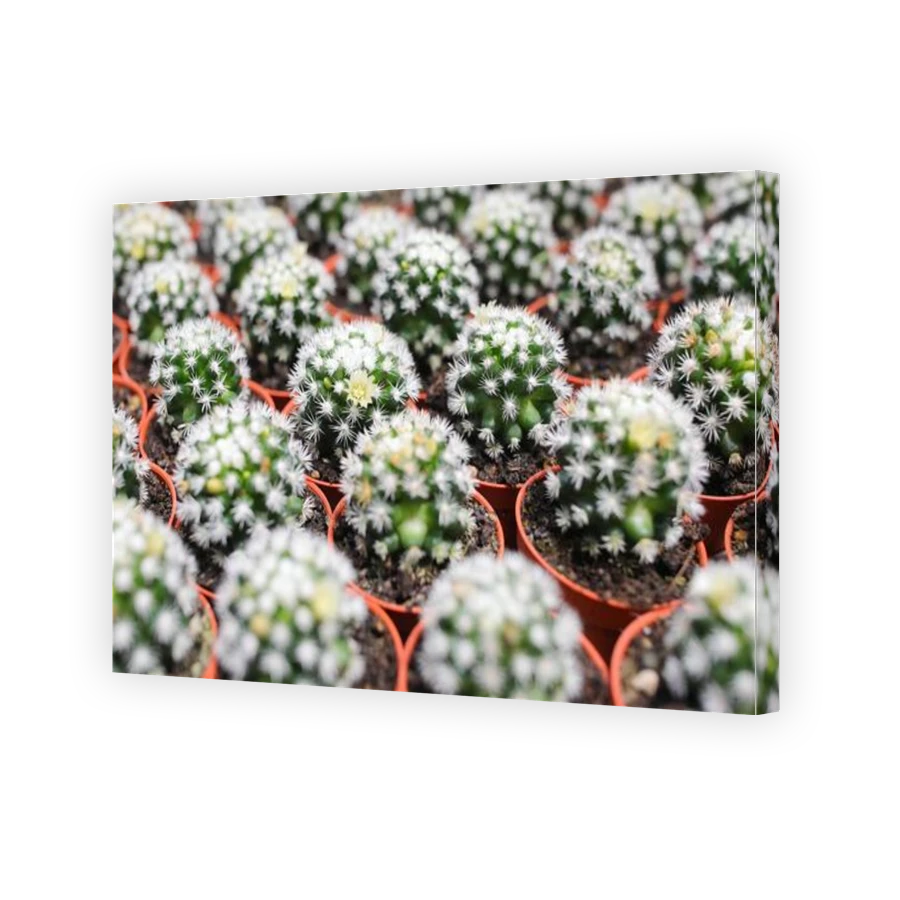 Thumbnail for Canvas - Gallery Canvas Wrap