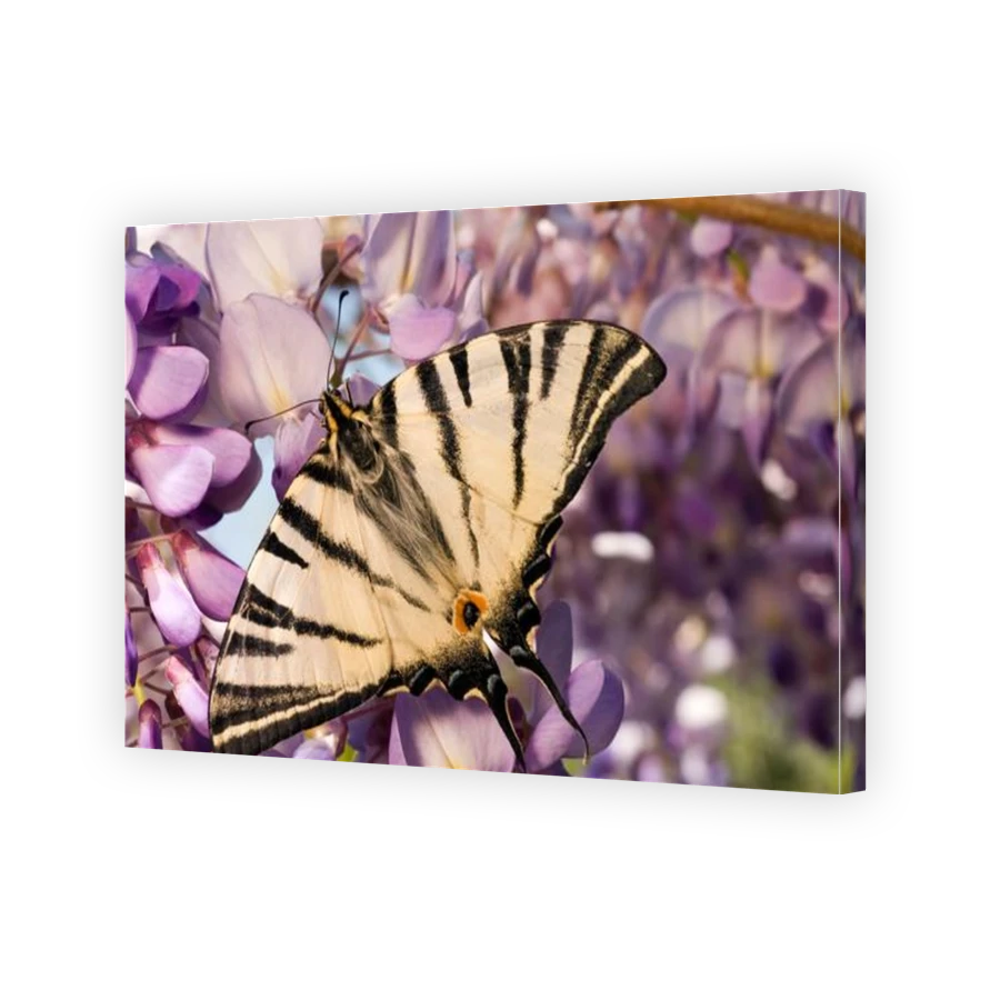 Thumbnail for Canvas - Gallery Canvas Wrap