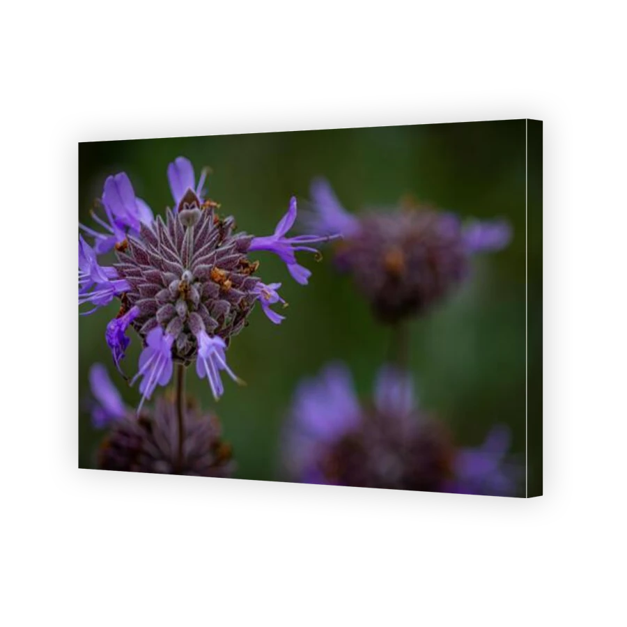 Thumbnail for Canvas - Gallery Canvas Wrap
