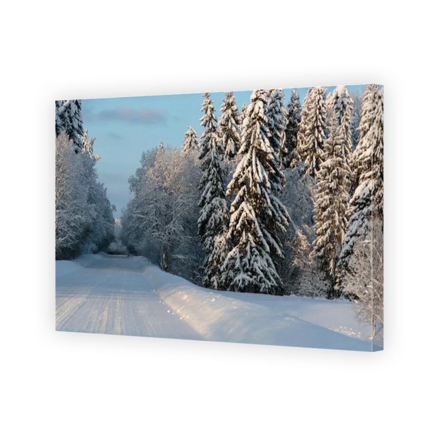Thumbnail for Canvas - Gallery Canvas Wrap