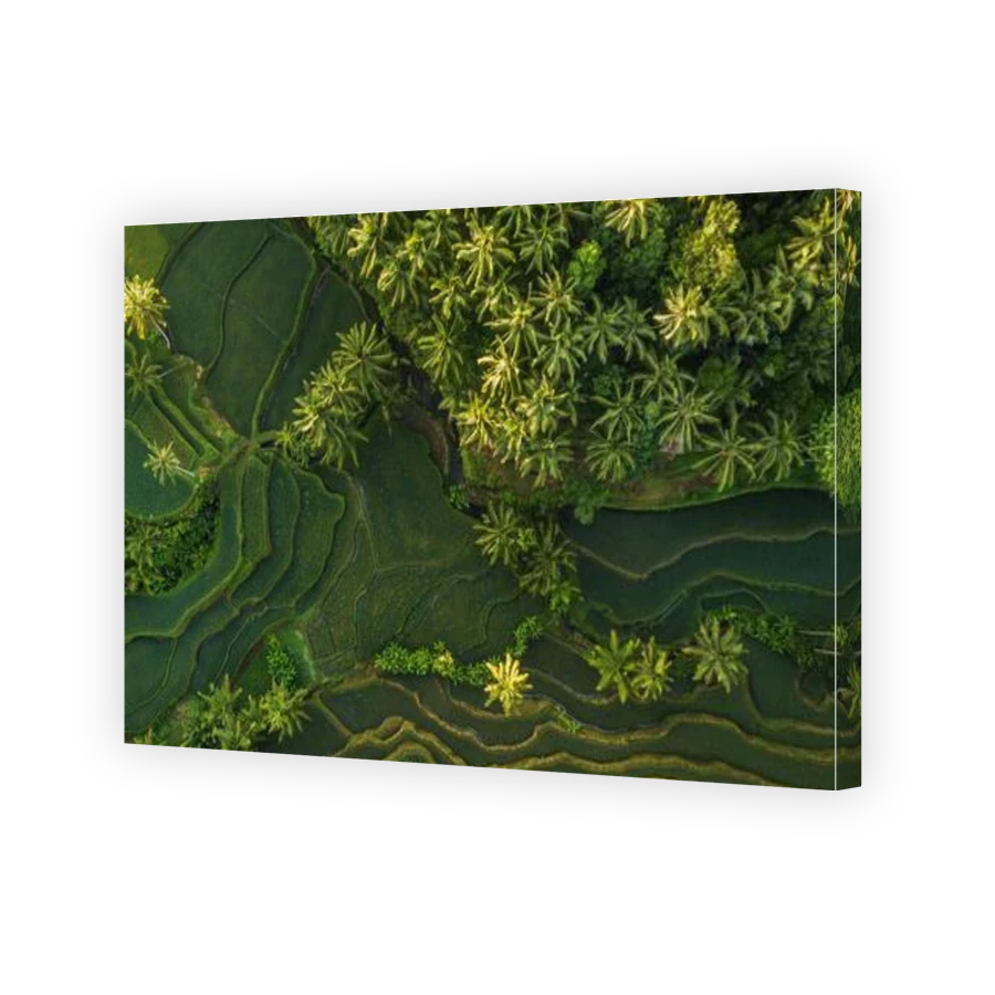 Thumbnail for Canvas - Gallery Canvas Wrap