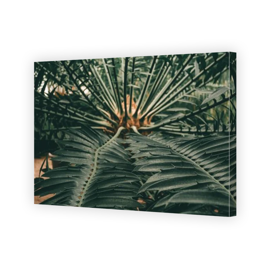 Thumbnail for Canvas - Gallery Canvas Wrap
