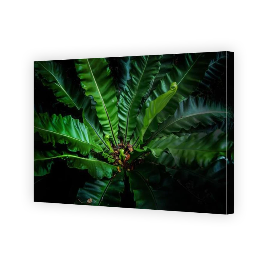 Thumbnail for Canvas - Gallery Canvas Wrap
