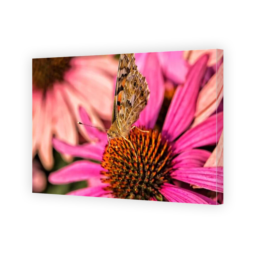 Thumbnail for Canvas - Gallery Canvas Wrap