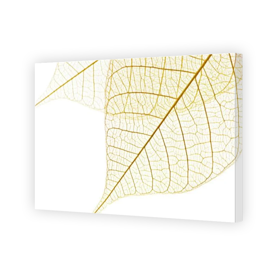 Thumbnail for Canvas - Gallery Canvas Wrap
