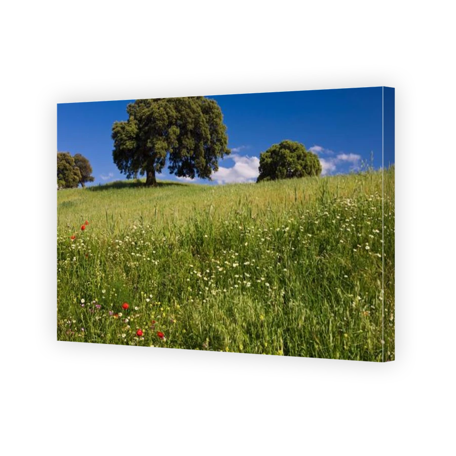 Thumbnail for Canvas - Gallery Canvas Wrap
