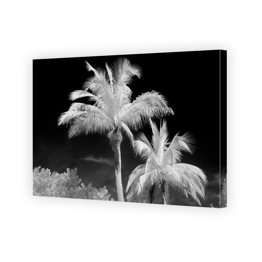 Thumbnail for Canvas - Gallery Canvas Wrap