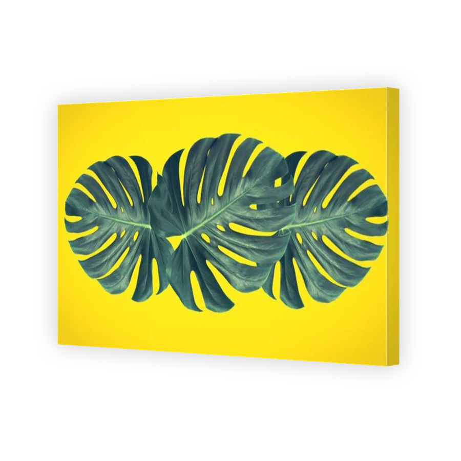 Thumbnail for Canvas - Gallery Canvas Wrap