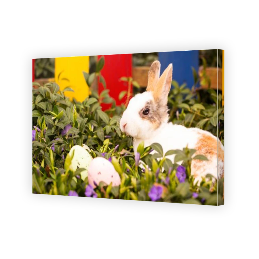Thumbnail for Canvas - Gallery Canvas Wrap