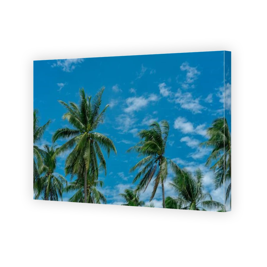Thumbnail for Canvas - Gallery Canvas Wrap
