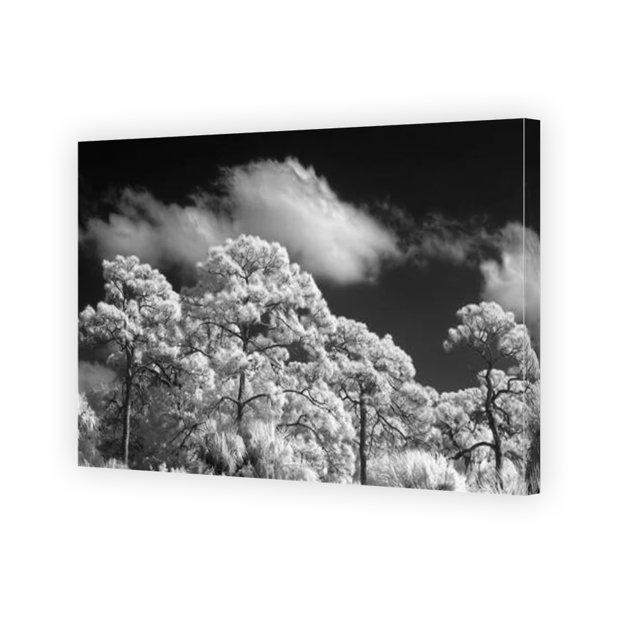 Thumbnail for Canvas - Gallery Canvas Wrap