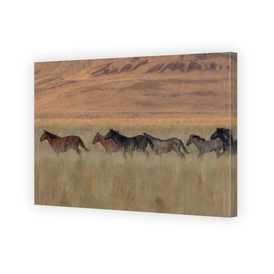 Thumbnail for Canvas - Gallery Canvas Wrap