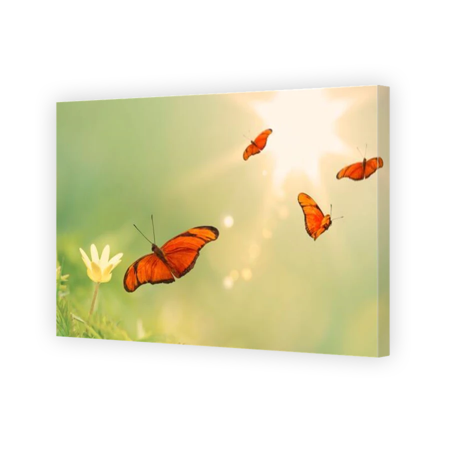 Thumbnail for Canvas - Gallery Canvas Wrap