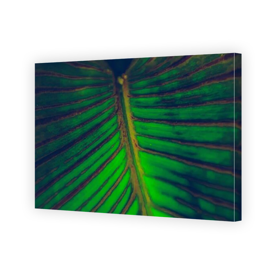 Thumbnail for Canvas - Gallery Canvas Wrap