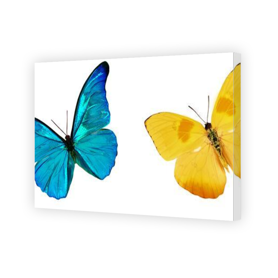 Thumbnail for Canvas - Gallery Canvas Wrap