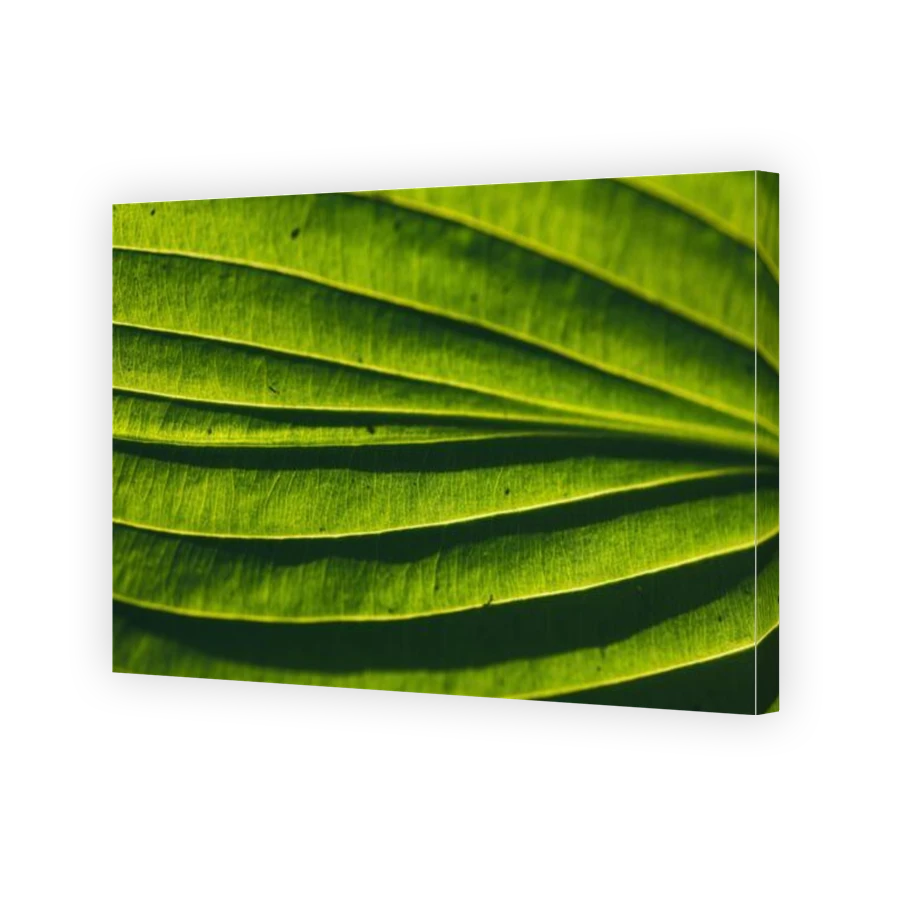 Thumbnail for Canvas - Gallery Canvas Wrap