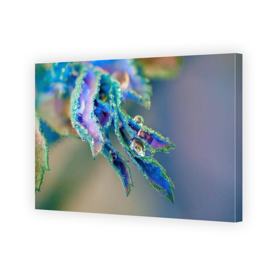 Thumbnail for Canvas - Gallery Canvas Wrap