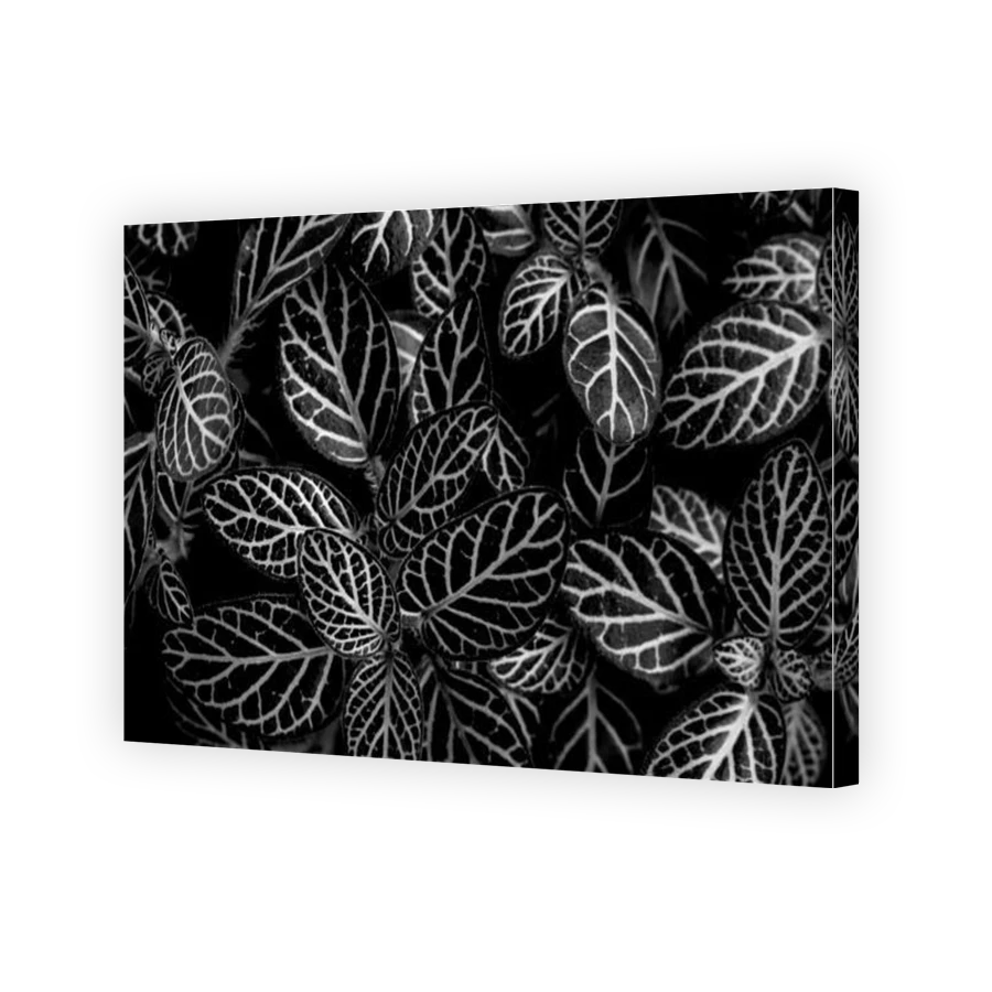 Thumbnail for Canvas - Gallery Canvas Wrap