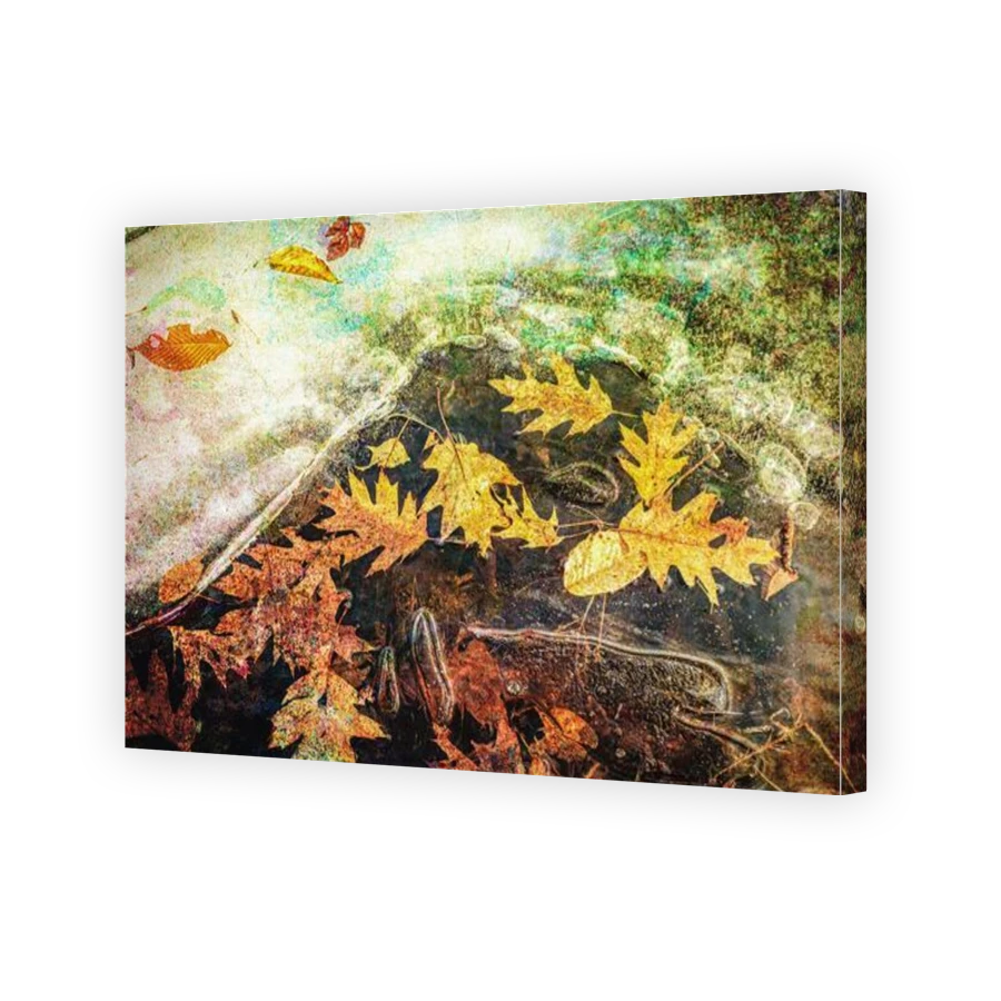 Thumbnail for Canvas - Gallery Canvas Wrap