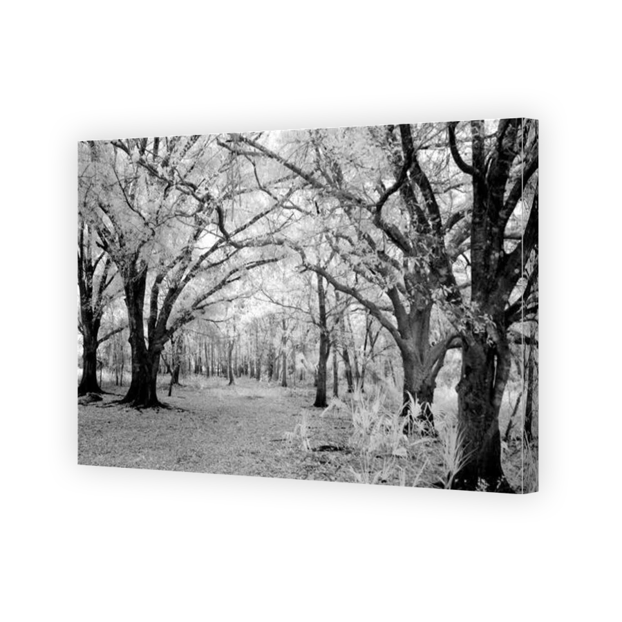 Thumbnail for Canvas - Gallery Canvas Wrap