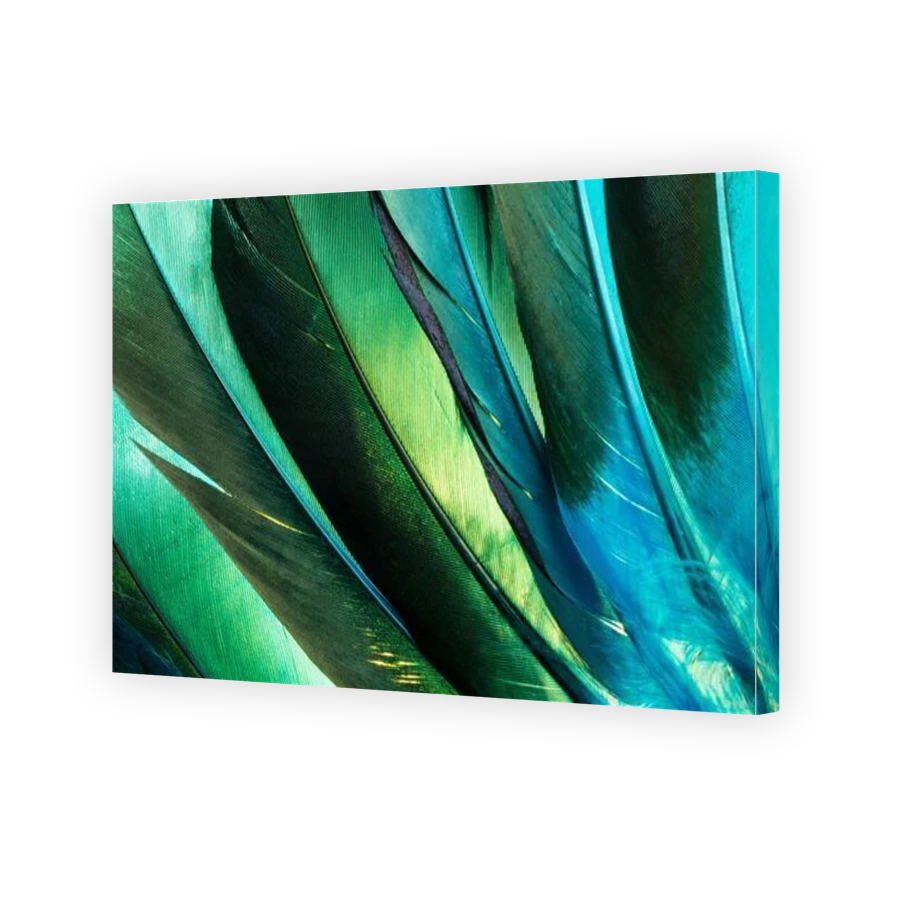 Thumbnail for Canvas - Gallery Canvas Wrap