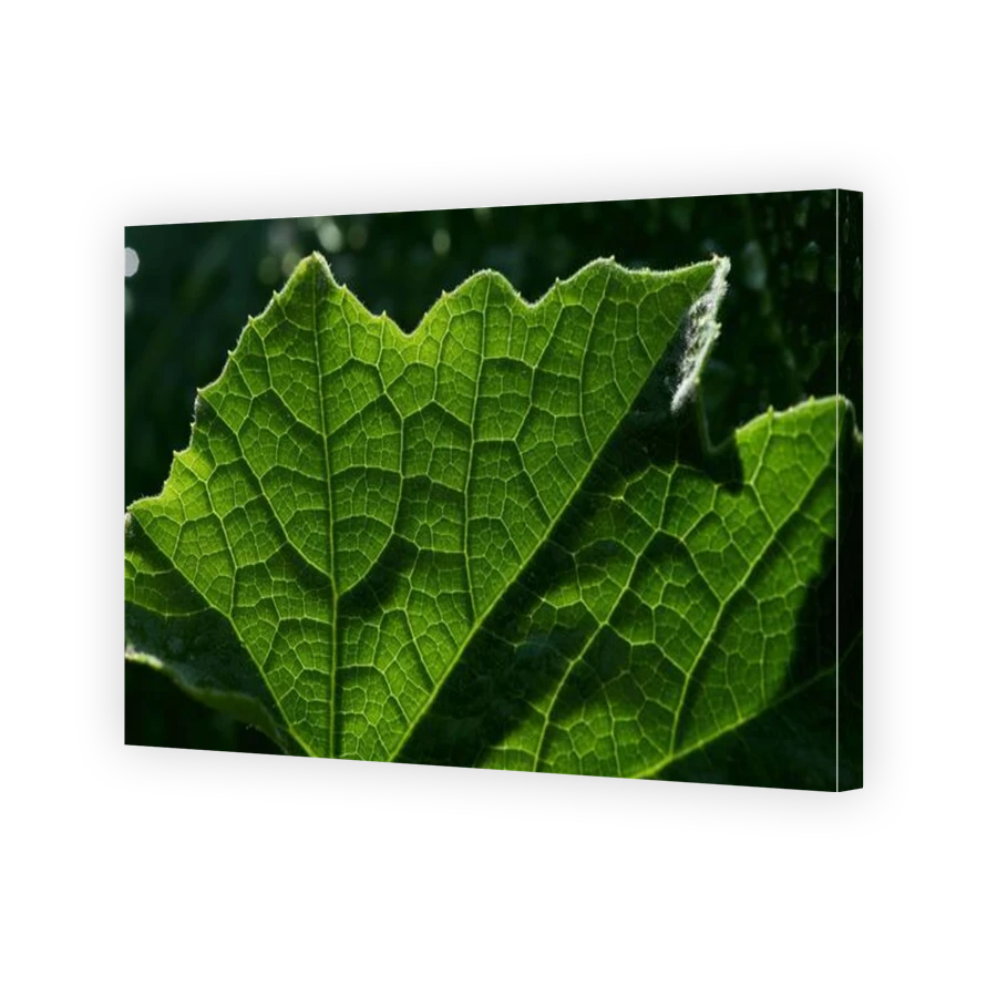 Thumbnail for Canvas - Gallery Canvas Wrap