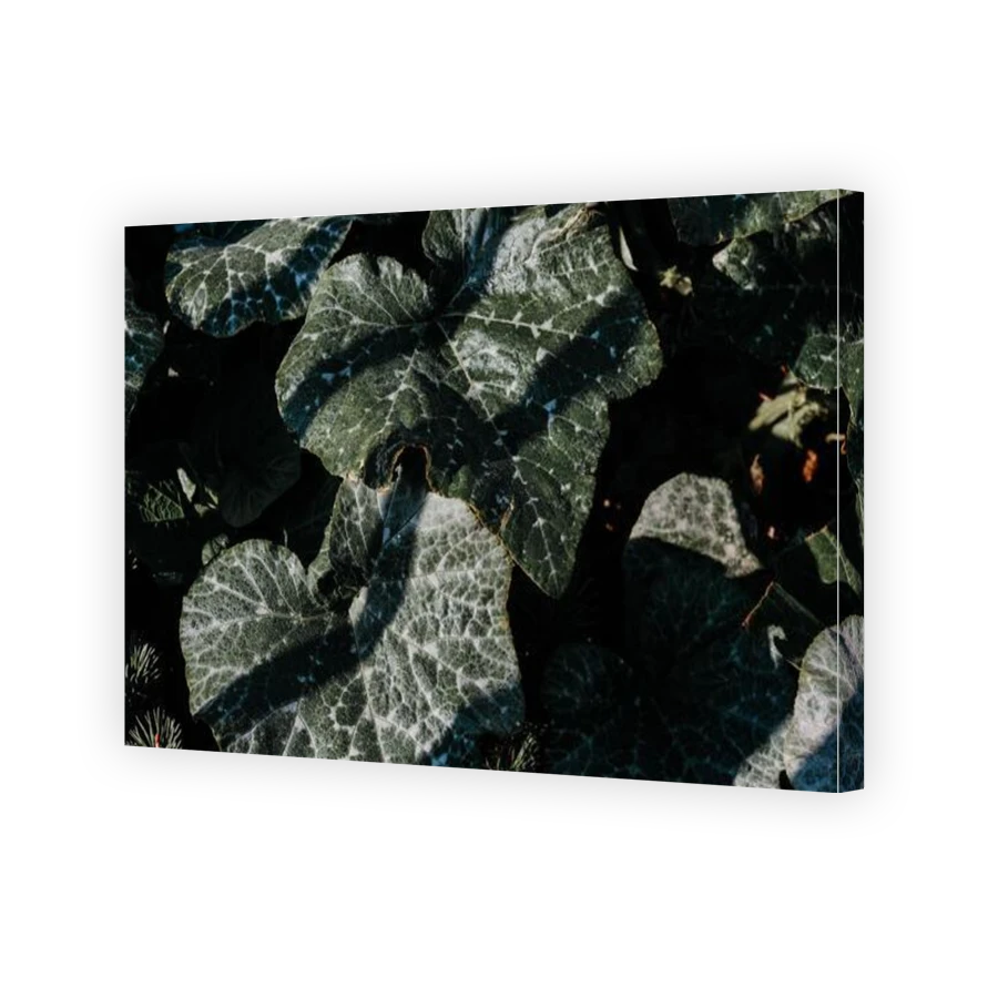 Thumbnail for Canvas - Gallery Canvas Wrap