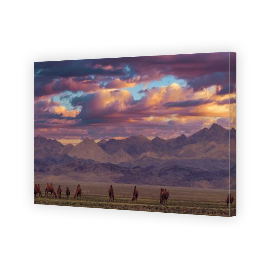 Thumbnail for Canvas - Gallery Canvas Wrap