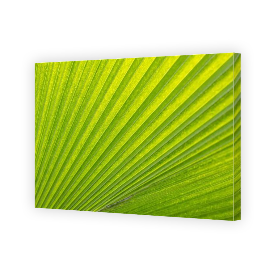 Thumbnail for Canvas - Gallery Canvas Wrap