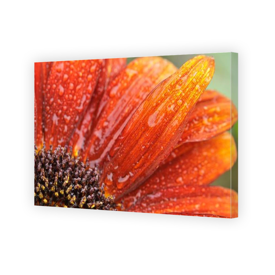 Thumbnail for Canvas - Gallery Canvas Wrap