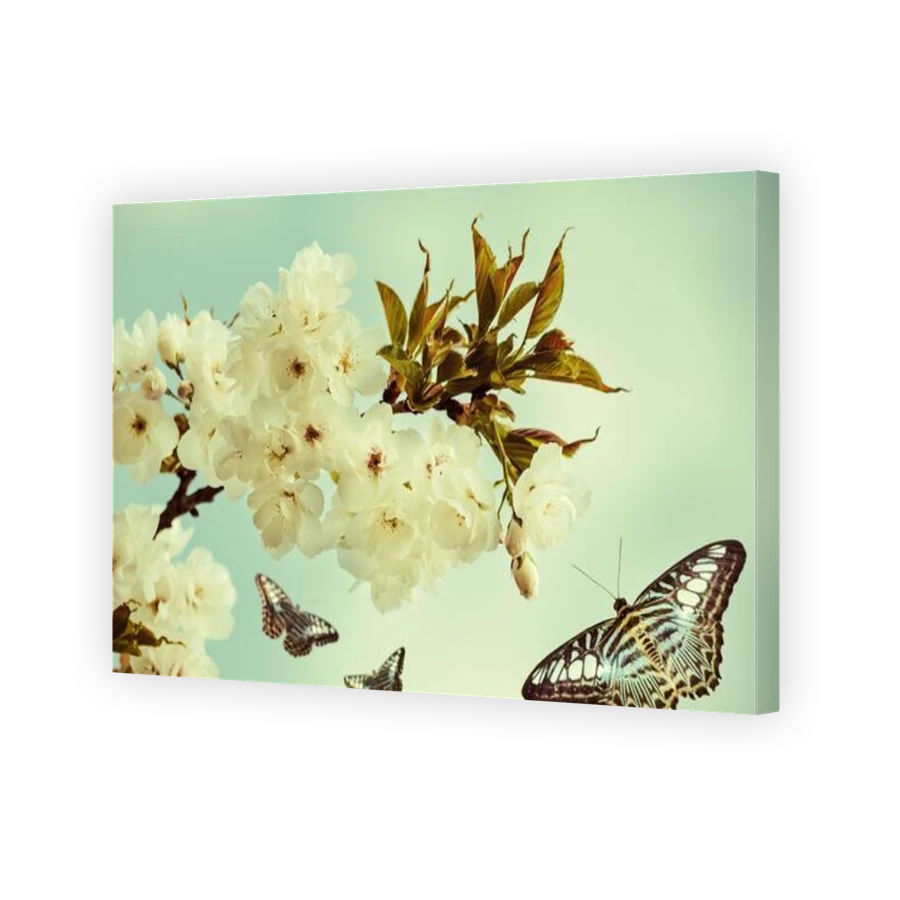 Thumbnail for Canvas - Gallery Canvas Wrap