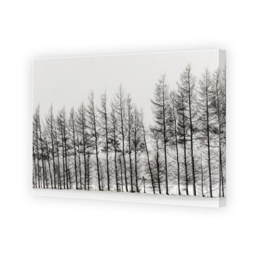 Thumbnail for Canvas - Gallery Canvas Wrap