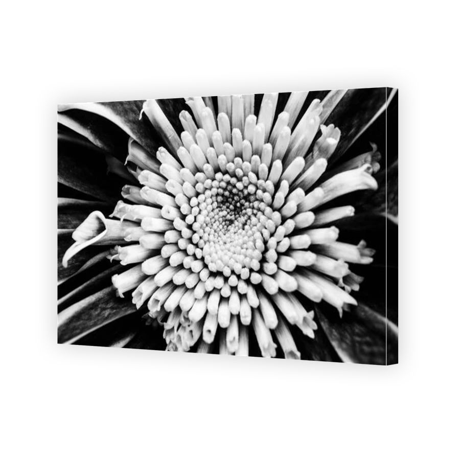Thumbnail for Canvas - Gallery Canvas Wrap