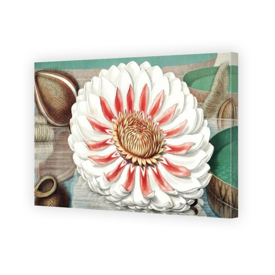 Thumbnail for Canvas - Gallery Canvas Wrap
