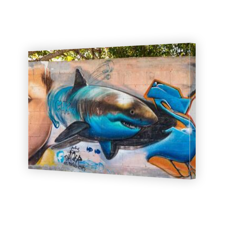Thumbnail for Canvas - Gallery Canvas Wrap