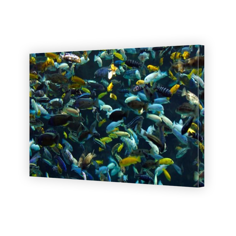 Thumbnail for Canvas - Gallery Canvas Wrap