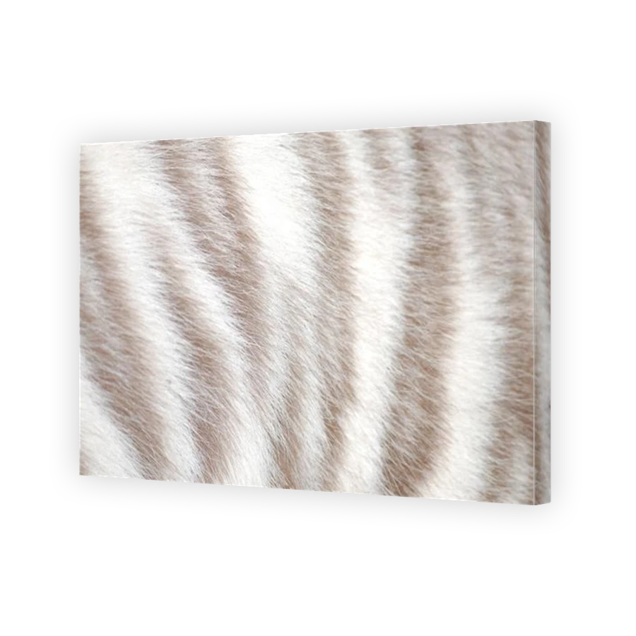 Thumbnail for Canvas - Gallery Canvas Wrap
