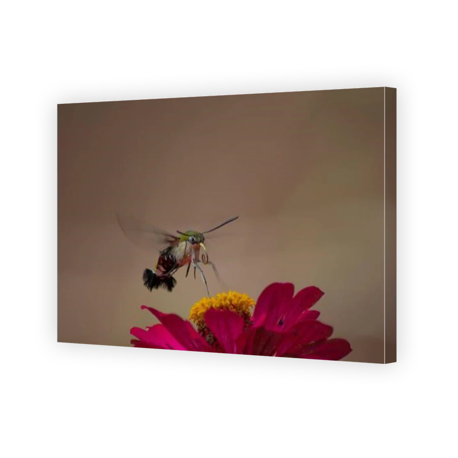 Thumbnail for Canvas - Gallery Canvas Wrap
