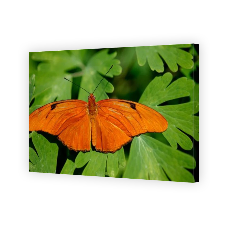 Thumbnail for Canvas - Gallery Canvas Wrap