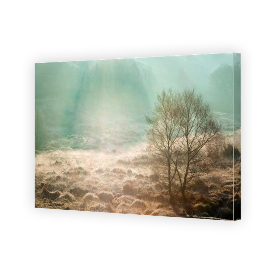 Thumbnail for Canvas - Gallery Canvas Wrap