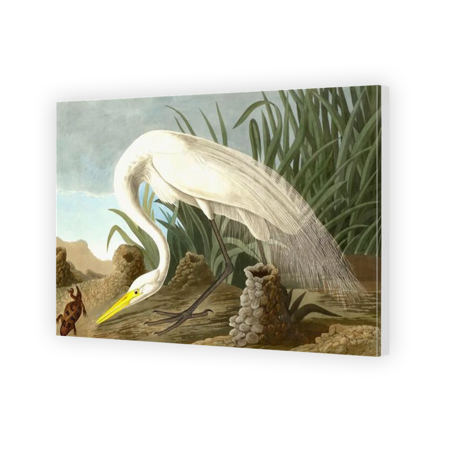 Thumbnail for Canvas - Gallery Canvas Wrap