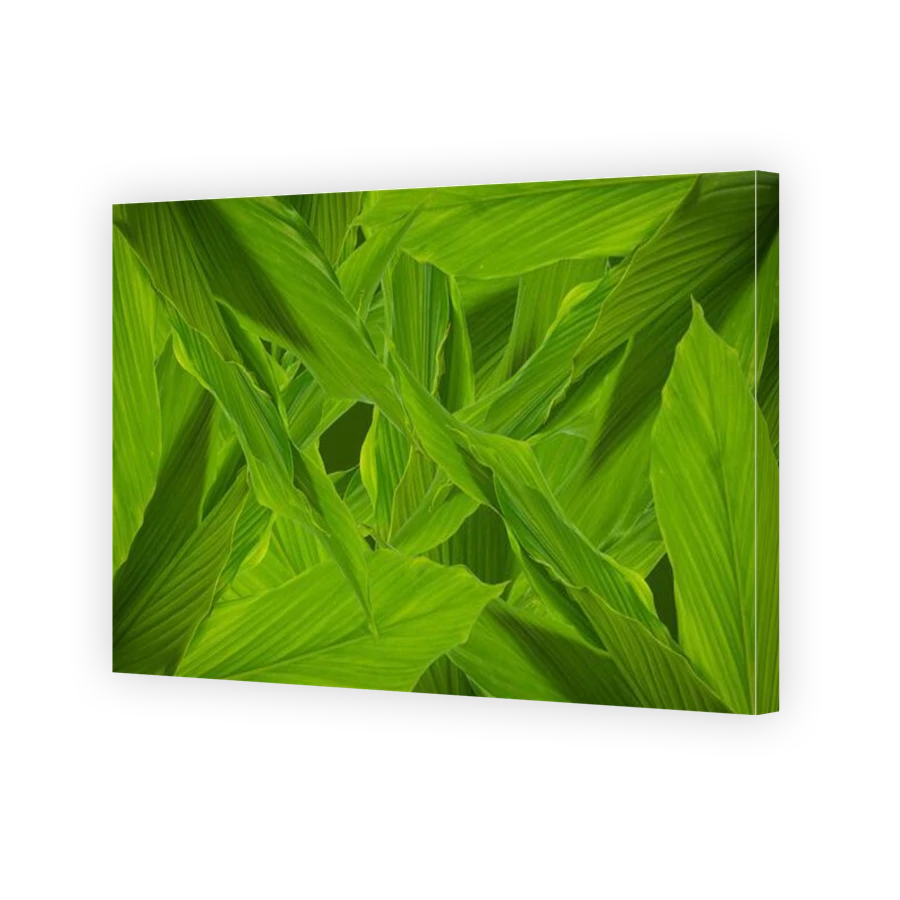 Thumbnail for Canvas - Gallery Canvas Wrap