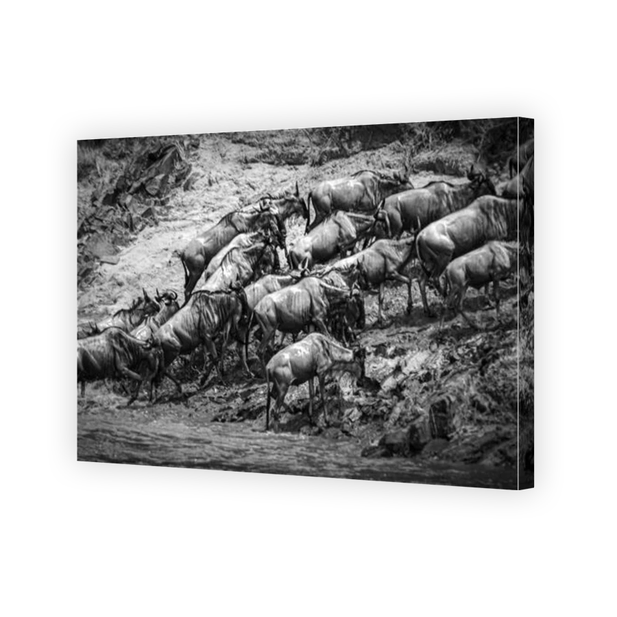 Thumbnail for Canvas - Gallery Canvas Wrap