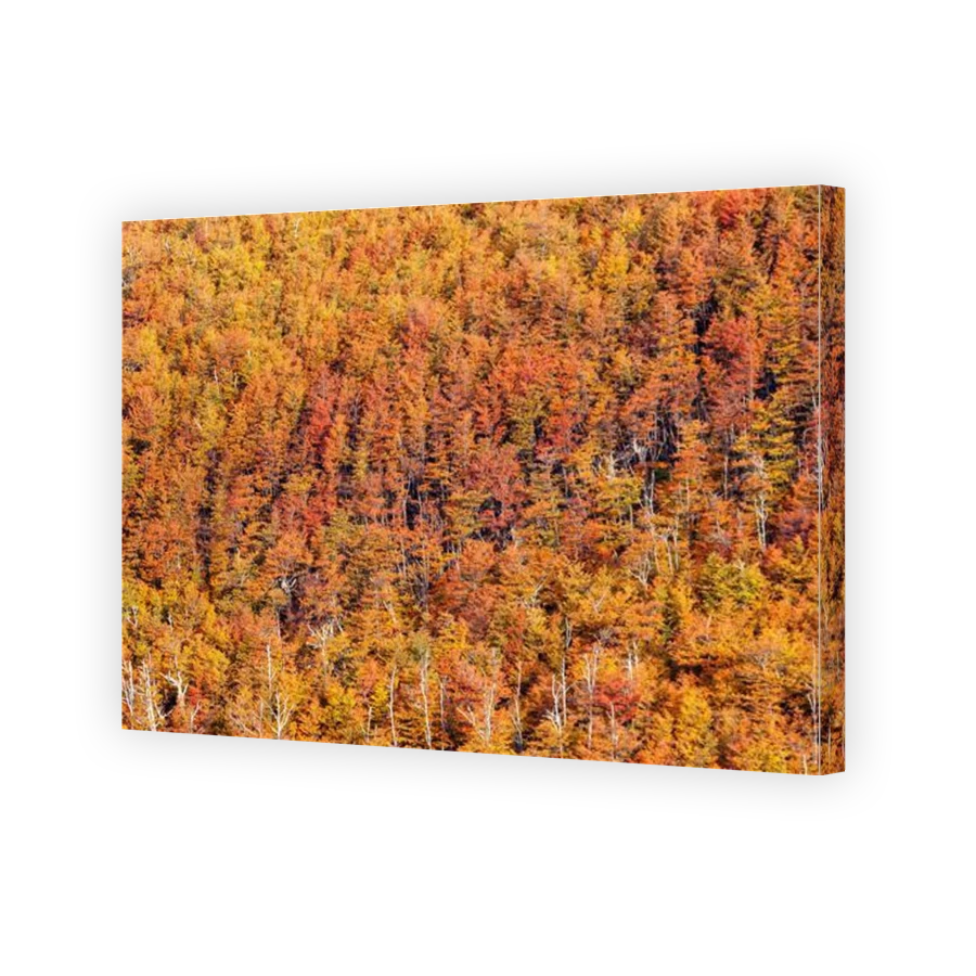 Thumbnail for Canvas - Gallery Canvas Wrap
