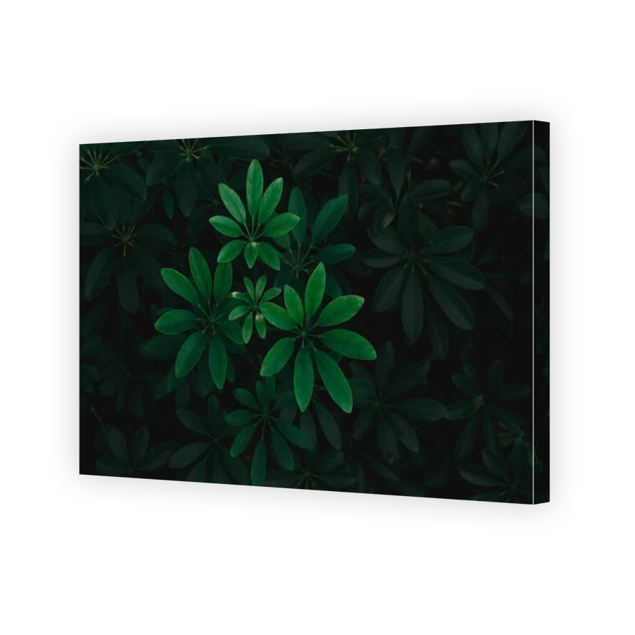 Thumbnail for Canvas - Gallery Canvas Wrap