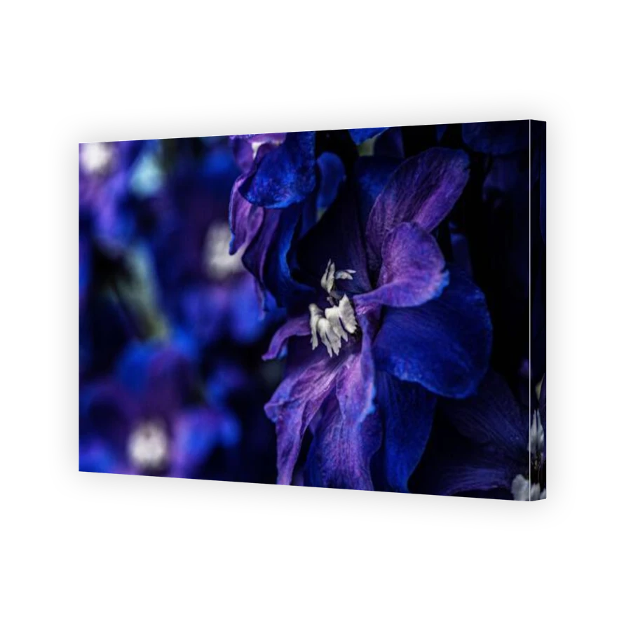 Thumbnail for Canvas - Gallery Canvas Wrap